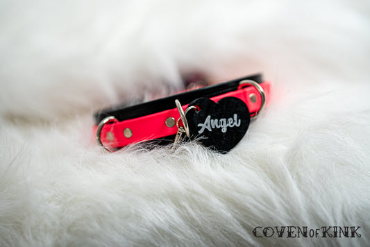 Angel Collar Tag