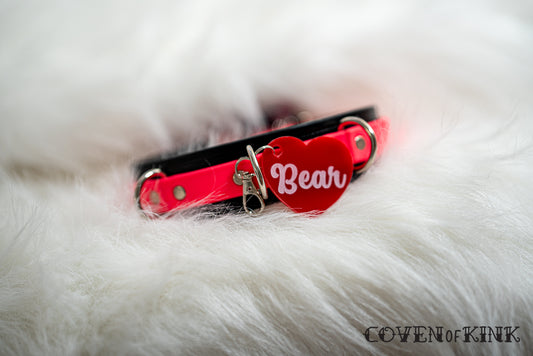 Bear Collar Tag