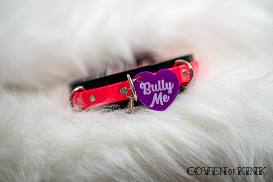 Bully Me Collar Tag