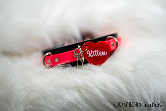 Kitten Collar Tag