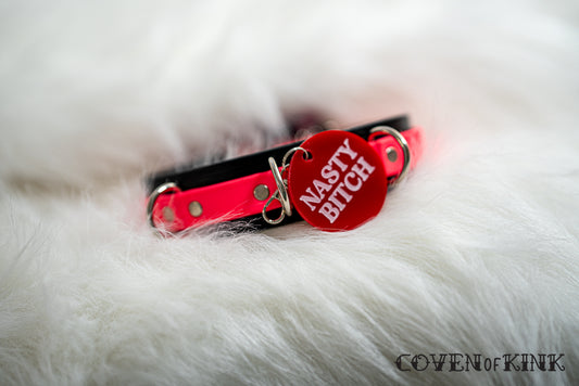 Nasty Bitch Collar Tag