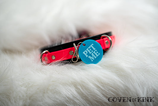 Pet Me Collar Tag