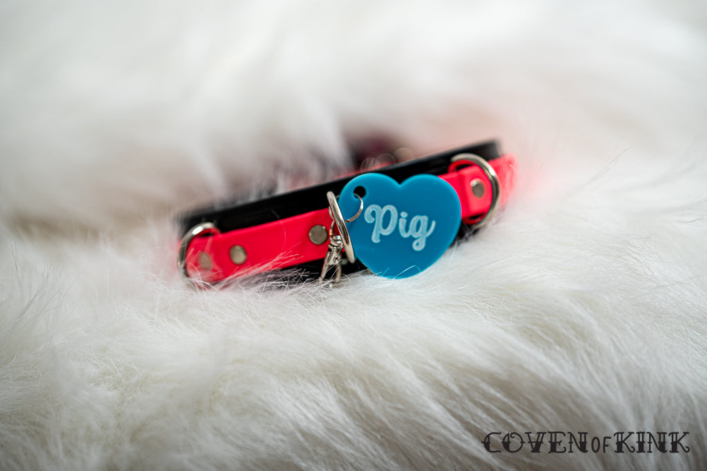 Pig Collar Tag