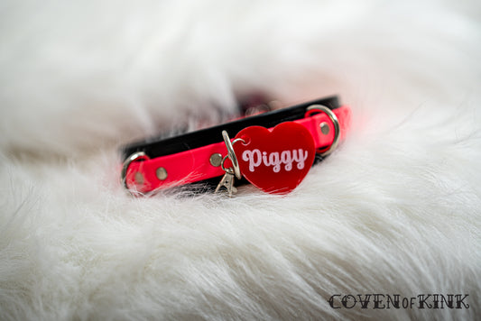 Piggy Collar Tag