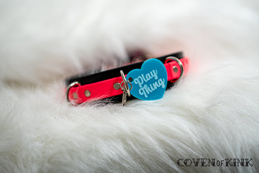 Play Thing Collar Tag