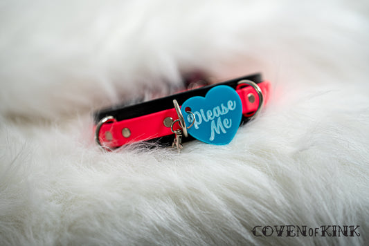 Please Me Collar Tag