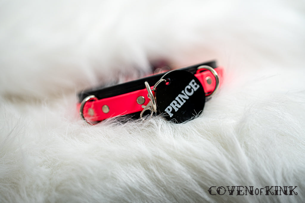 Create Your Own Custom Collar Tag