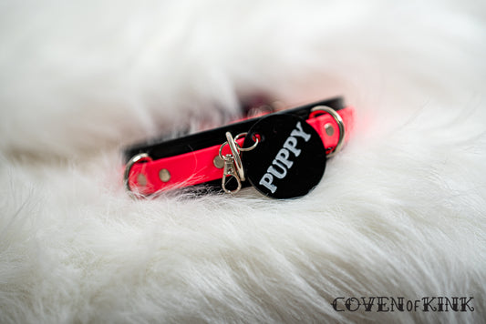 Puppy Collar Tag