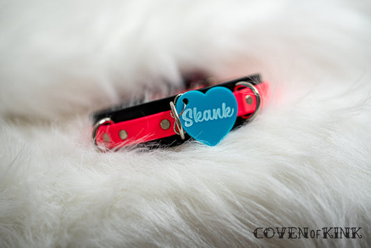 Skank Collar Tag