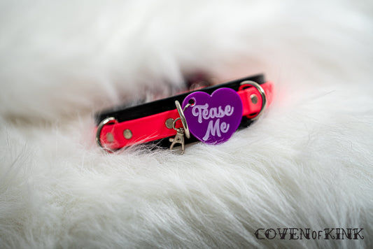 Tease Me Collar Tag