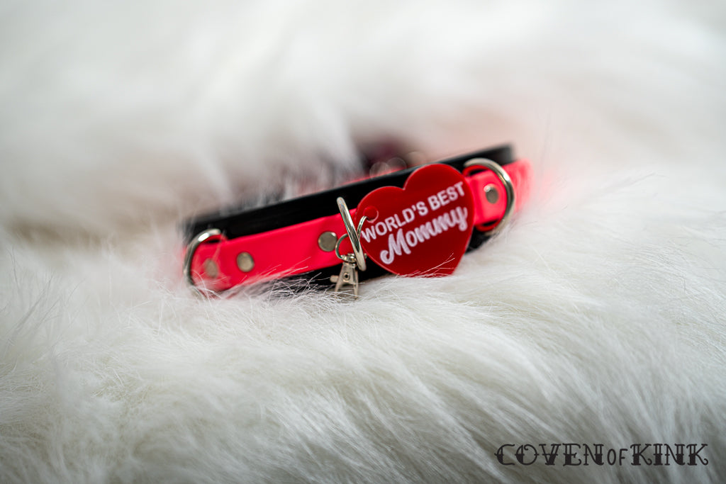 World's Best Mommy Collar Tag